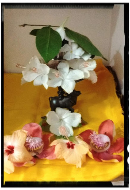 BANERSHAR SHIVA LINGA