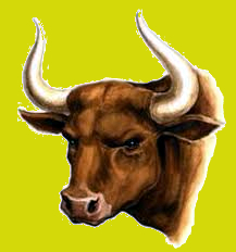 THE GNAT AND THE BULL 