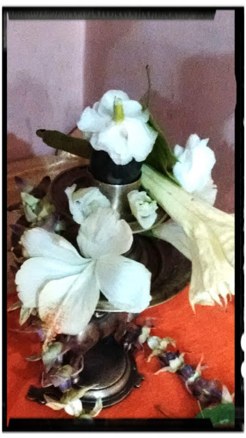 BANERSHAR SHIVA LINGA