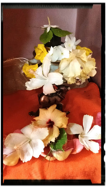 BANERSHAR SHIVA LINGA