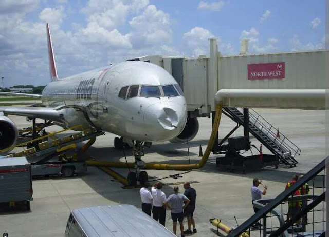 What Really Happens When some few Bird Hits An Air-plane? 