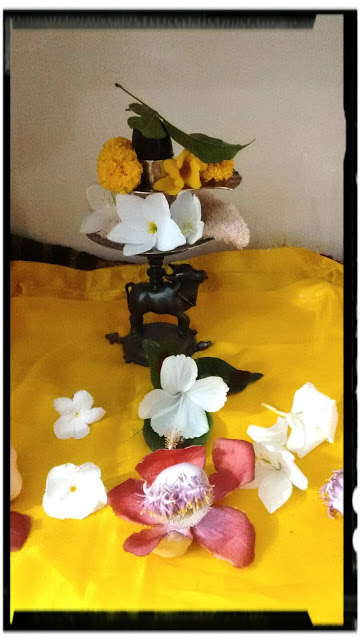 BANERSHAR SHIVA LINGA