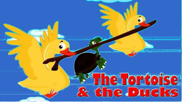 THE TORTOISE AND THE DUCKS THE TORTOISE AND THE DUCKS