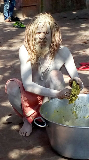 মৌনী সাধু মৌনী সাধু