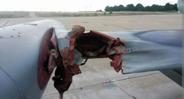 What Really Happens When some few Bird Hits An Air-plane? 