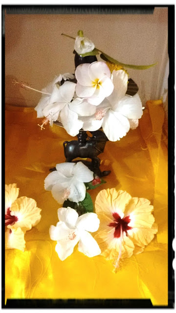 BANERSHAR SHIVA LINGA