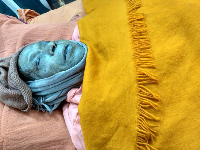 Swami Mumukshanandaji